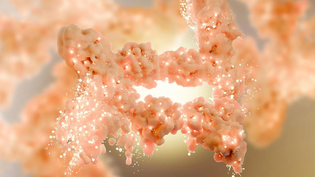 (Scientists discover amino acid) Lowering cysteine levels appears to “switch on” the body’s fat-burning machinery, offering a promising new pathway for weight loss beyond simple calorie cutting. Credit: Shutterstock