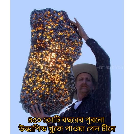 ফুকাং উল্কাপিণ্ড (Fukang meteorite)