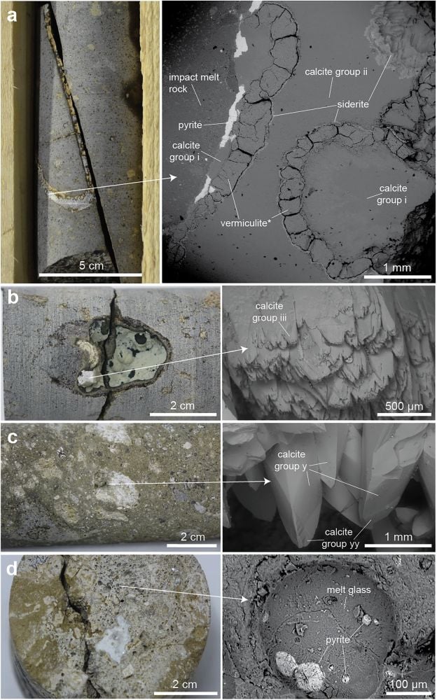 Microbial Life Colonizes